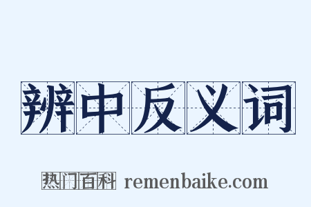 辨中反义词是什么意思的图片
